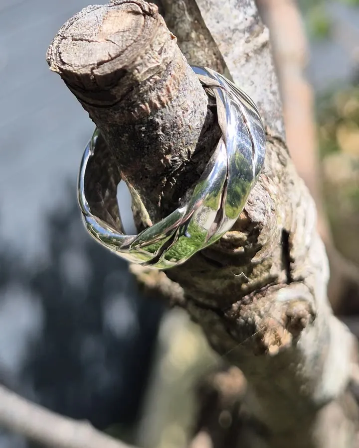 Twisted silver ring detail