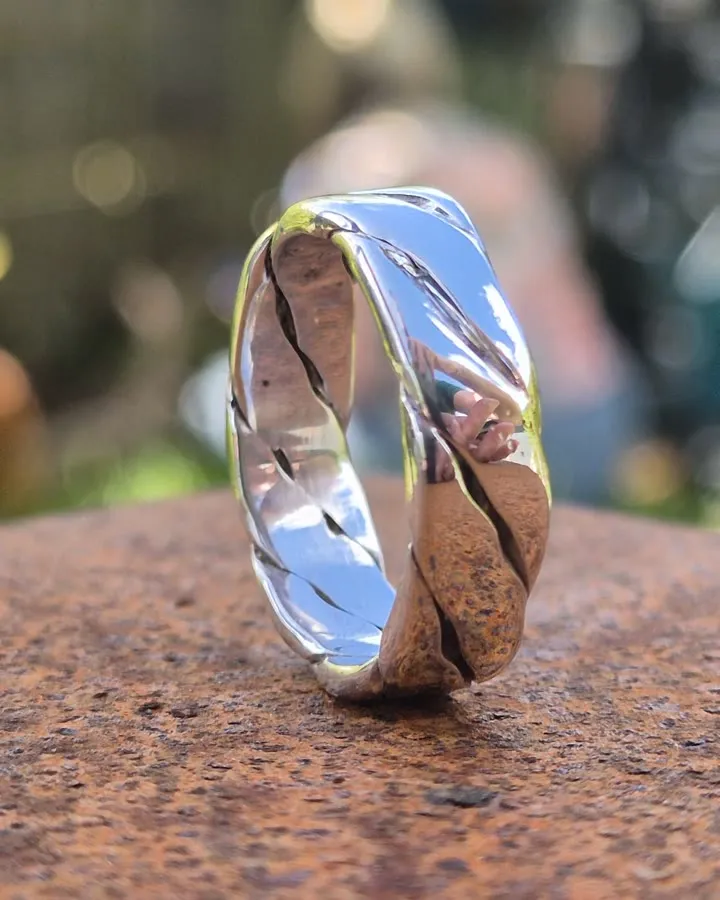 Twisted silver ring resting on a branch